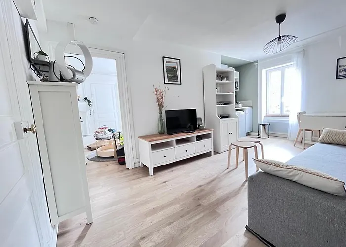 Le Cliersou - Appartement bien situé à Clermont-Ferrand Fontgieve acceptant les animaux