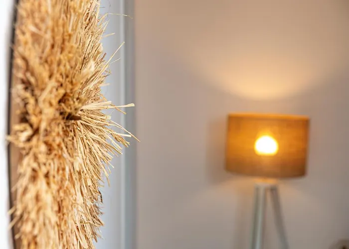 Appartement Little Safari ~ T2 Proche Centre à Vierzon acceptant les animaux