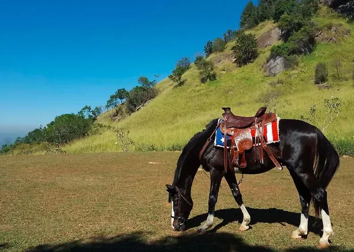Yale Kandy Park