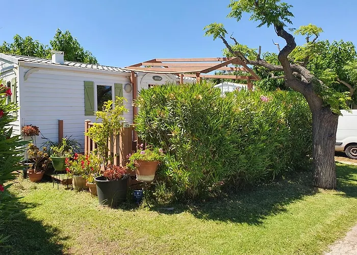 Hotel Bungalow à Hyères