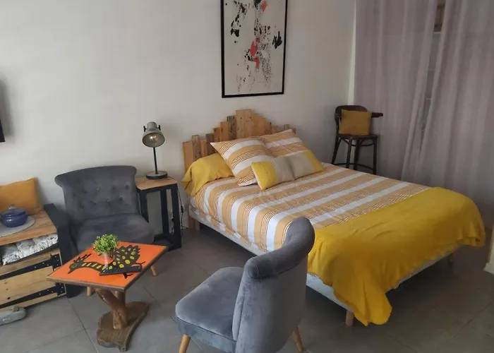 Beau studio refait a neuf centre ville avec clim balcon Narbonne acceptant les animaux