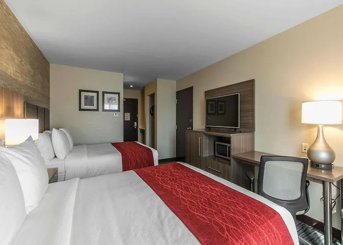 Comfort Inn & Suites Airport North Calgary