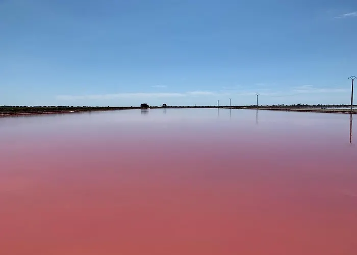 Cabane Du Saunier Maia Etang Du Roy Aigues-Mortes