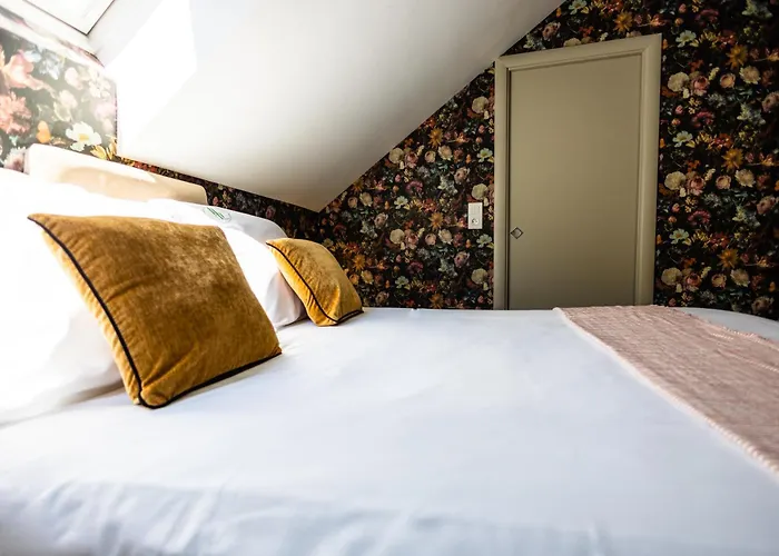 Hôtel Paulette Rouen centre NOUVEAU acceptant les animaux