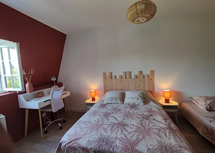 Appartement T2 Centre Ville - 2/3 pers. La Roche-Posay acceptant les animaux