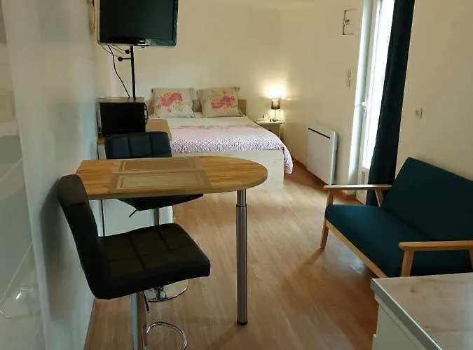 studio au calme wifi 600m centre ville parking privé Castres 