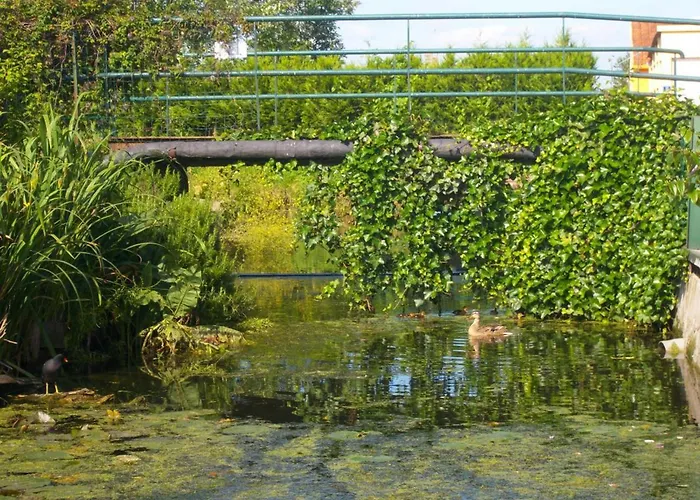 Gîte spacieux avec jardin, barque, et label tourisme handicap - Marais Audomarois - FR-1-376-72 Saint-Omer 