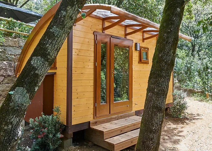 Camping Les Oliviers Porto  acceptant les animaux