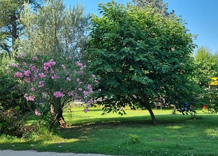 Chambre L'Orchidée Vallon-Pont-dʼArc