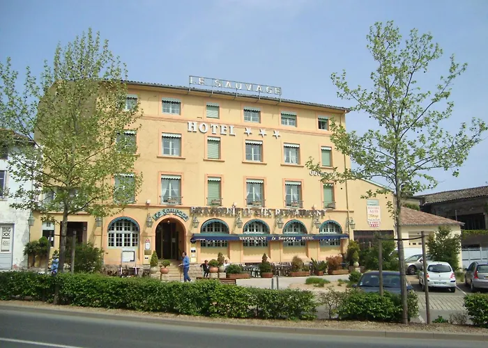 Hôtel Le Sauvage Tournus