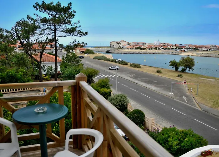 Single Fin Hotel & Lodge Mimizan-Plage acceptant les animaux