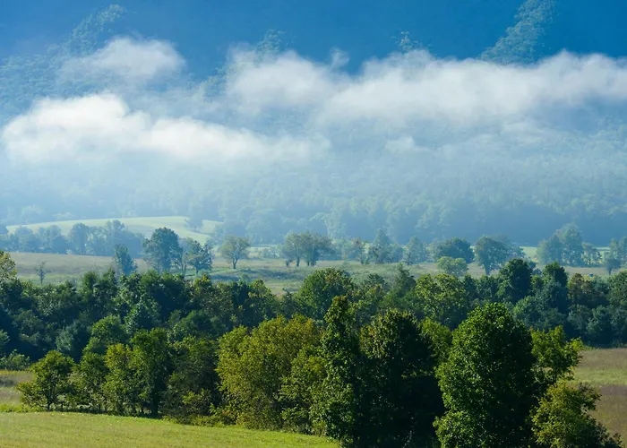 Gatlinburg Pet Friendly Hotels