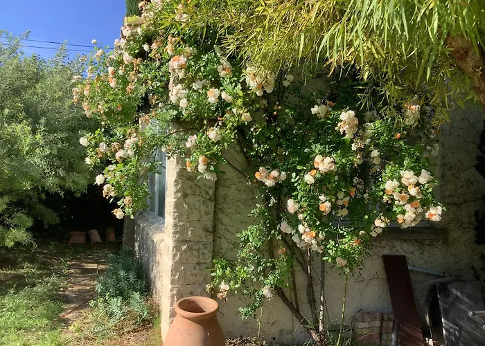 Le Mas des Oliviers Martigues