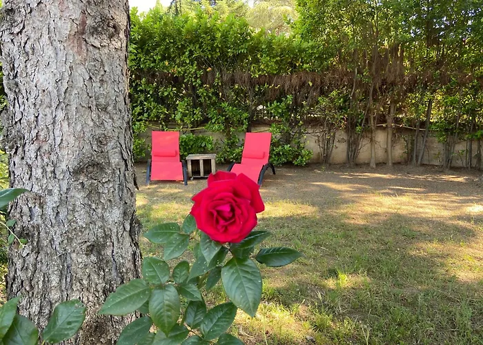 La roseraie Bonnieux