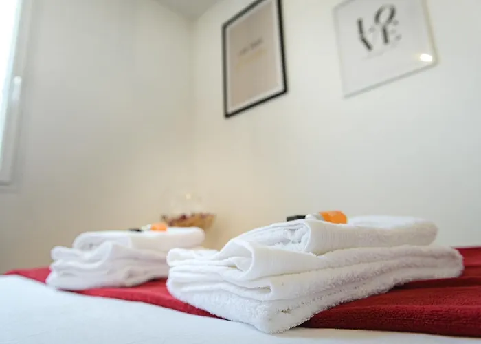 Magnifique appartement T2 rénové Aux vendanges Gaillac