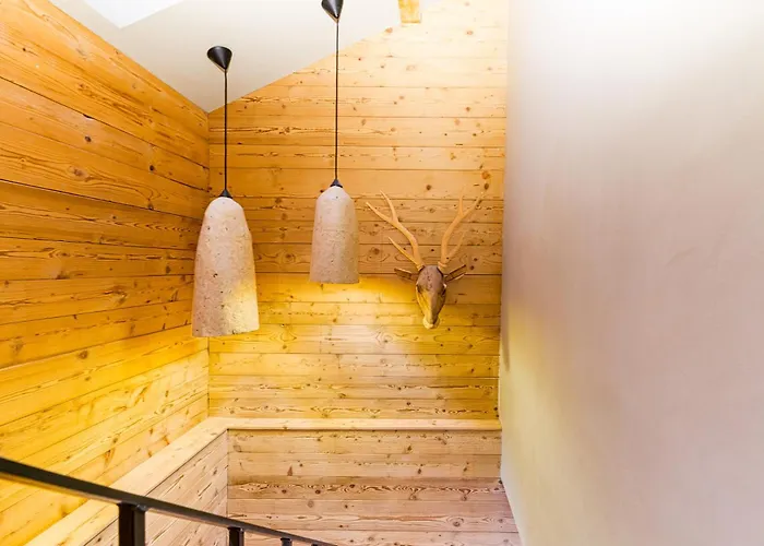Homency - Chalet Rodina Alpe dʼHuez