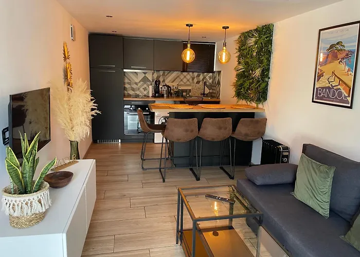 Villa Les Oliviers Spa privatif Bandol