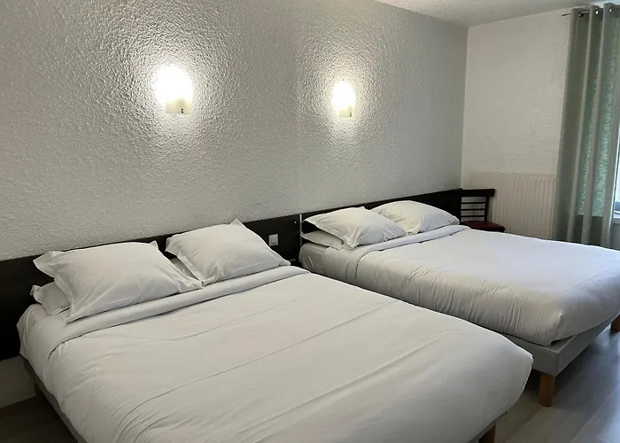 Cit'Hotel du Tigre Verdun acceptant les animaux