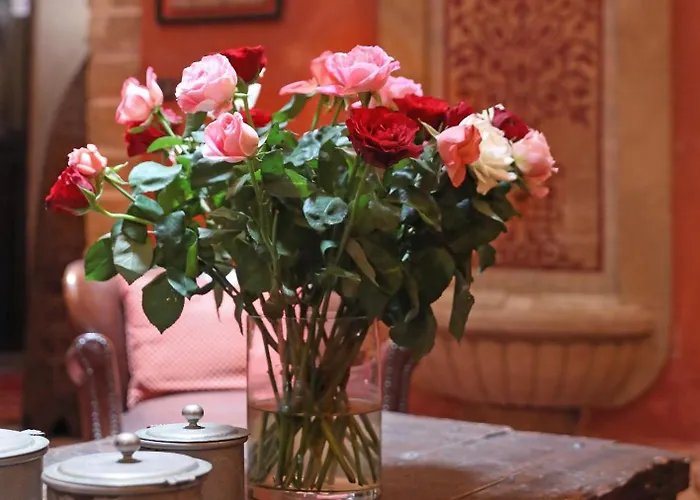 Villa Garance Essaouira