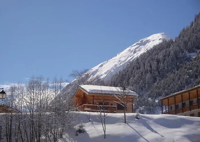 Chalet haut de gamme pour 10 pers., proche pistes, parking privé - FR-1-464-7 Pralognan-la-Vanoise