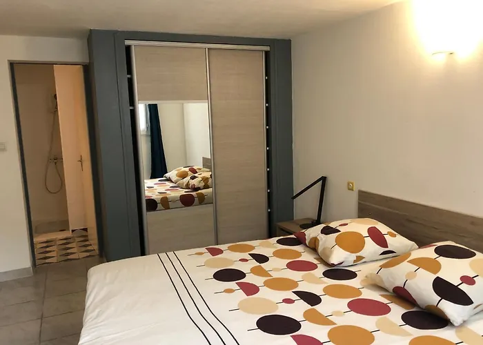 Appartement donnant sur jardin avec terrasse. La Roche-sur-Yon acceptant les animaux