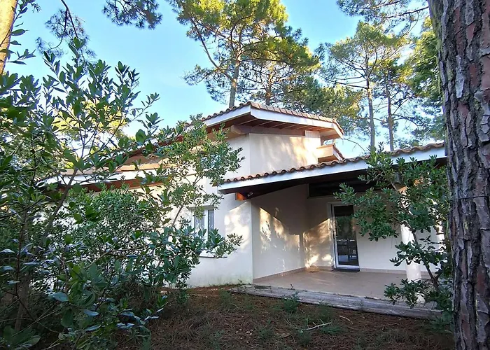 Villa en lisière de forêt avec jardin, à 1,5 km de l'Océan, idéale pour des vacances reposantes - FR-1-736-16 Lège-Cap-Ferret