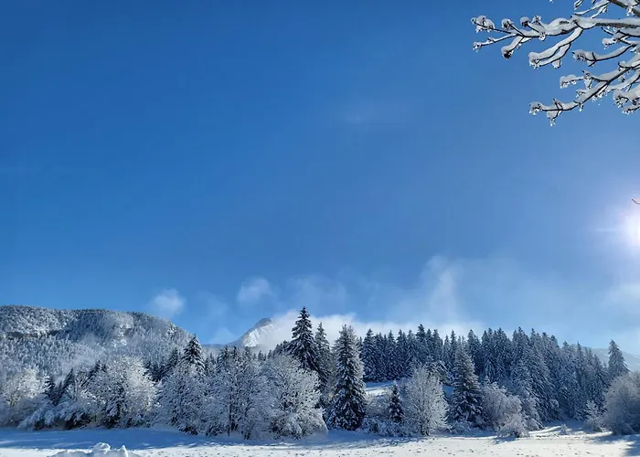Boutique Hotel du Golf Corrençon-en-Vercors