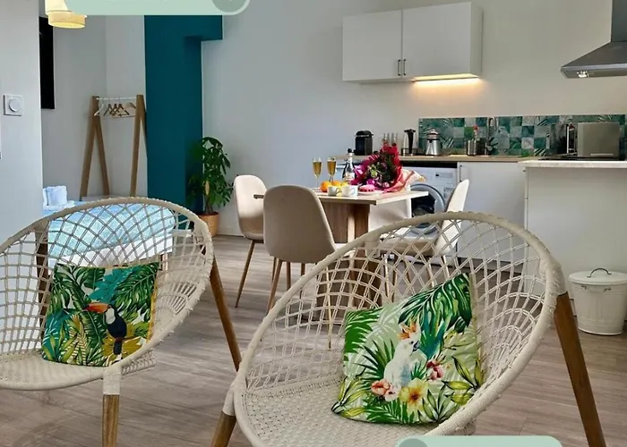 Appartement Tropical Loft à Le Puy-en-Velay