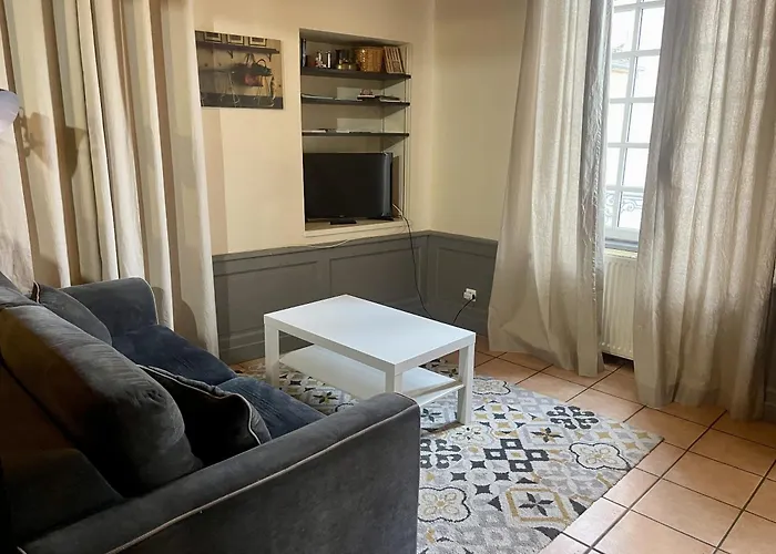 Appartement Le Cadet Roussel Auxerre Les Quais