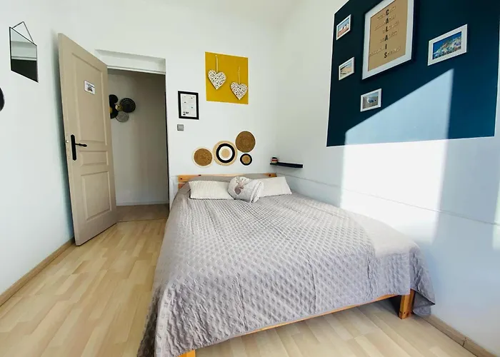 Chambre privée au coeur de Calais acceptant les animaux