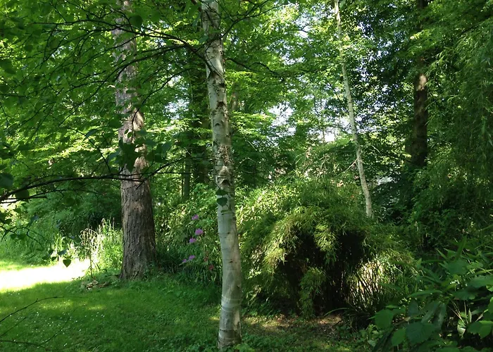 Domaine De Chantemerles Fontainebleau