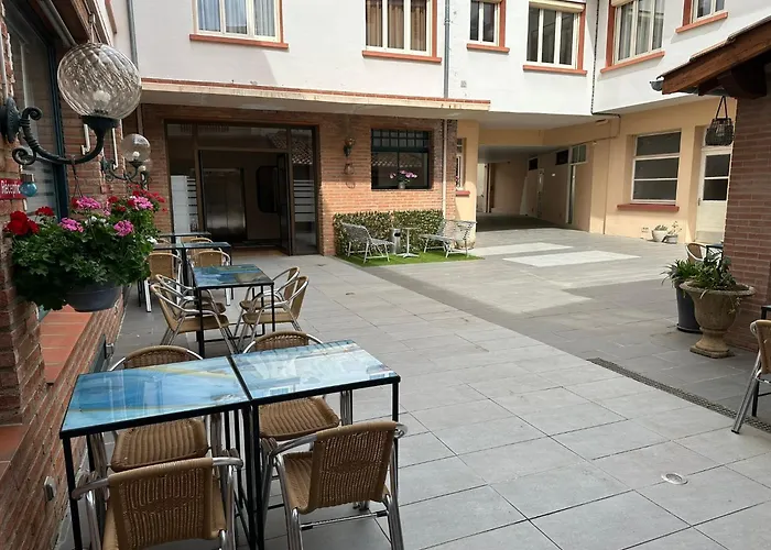 Hotel Chiffre Albi acceptant les animaux