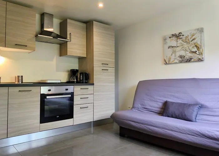 Studio Occitanie 20 m2 tout équipé avec jardin Muret