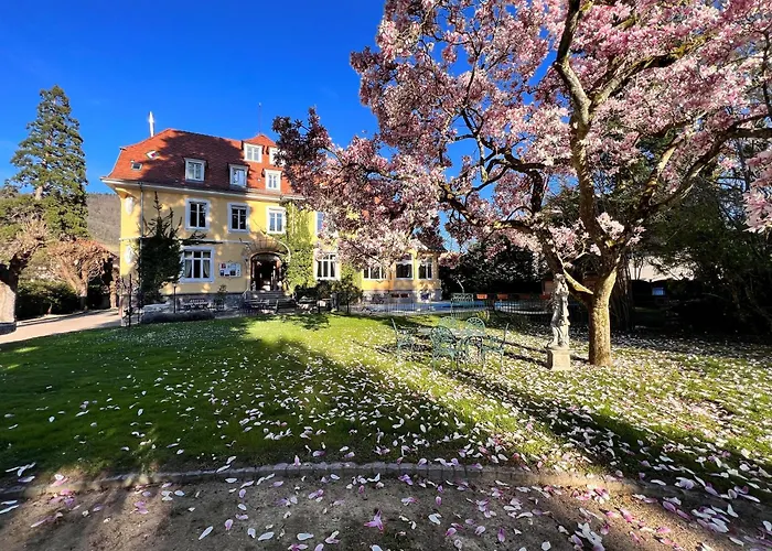 Hotel Restaurant Du Parc Thann acceptant les animaux