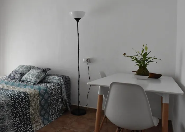 Apartamentos Les Palmeres Castell-Castell-Platja d'Aro
