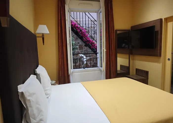 Hotel Capitole Beausoleil acceptant les animaux