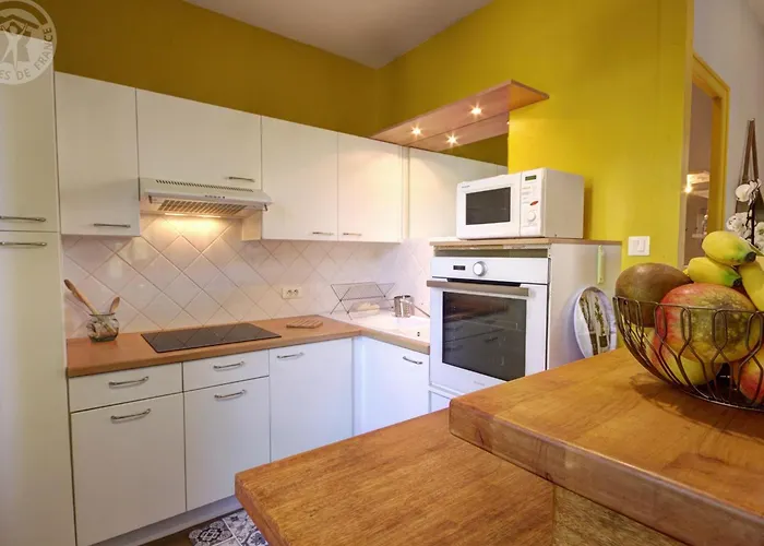 Charmant Appartement Avec Terrasse Privee Dans Vaste Parc - Fr-1-496-194 Andrezieux-Boutheon