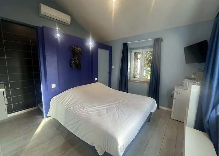Villa Fani Thiers acceptant les animaux