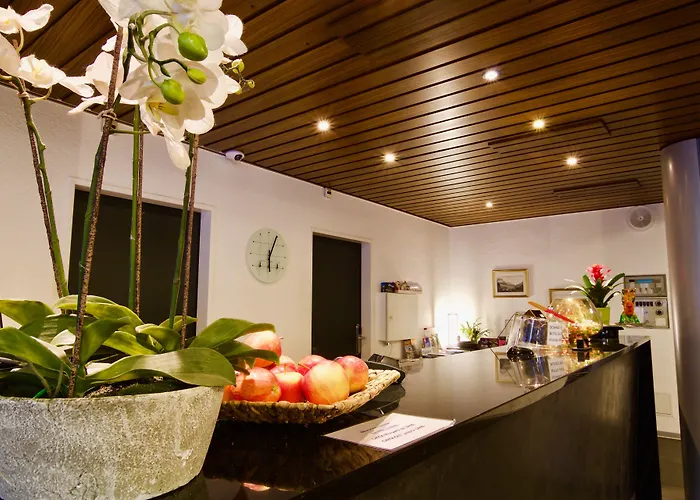 Hotel Du Rhone Sion