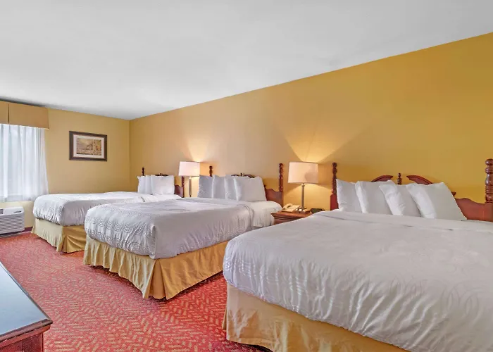 Best Western Clearlake Plaza Springfield