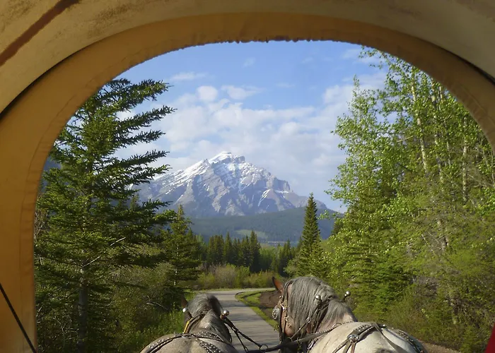 Pet friendly High Country Inn Banff
