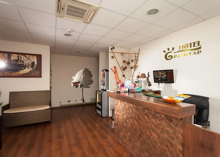 Hotel Grand Cap Rooftop Pool Agde acceptant les animaux