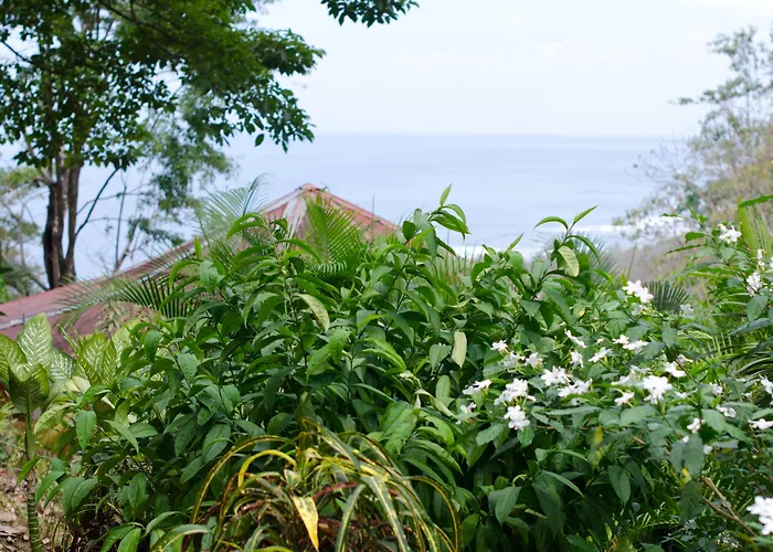 Hotel Vista De Olas Malpais