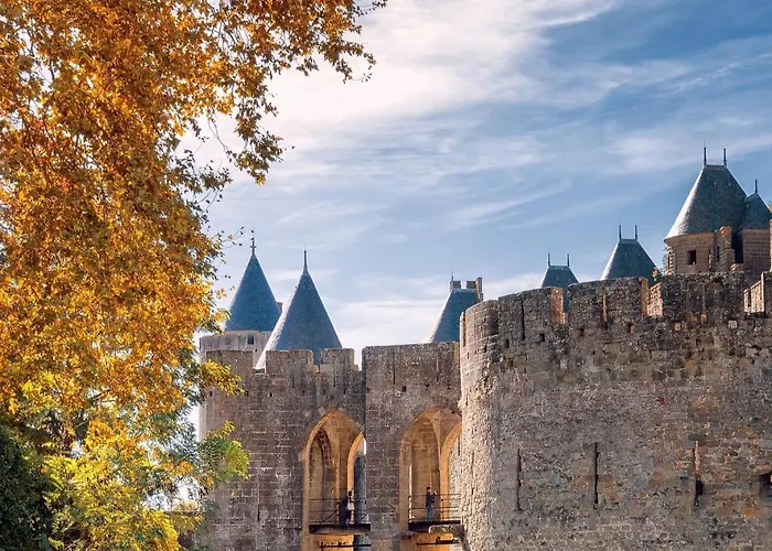 Audotel Carcassonne acceptant les animaux