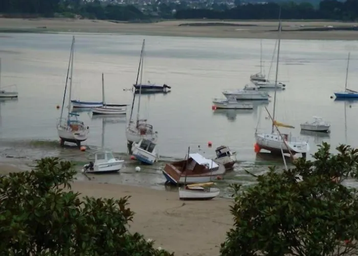 Hotel du port Locquirec acceptant les animaux