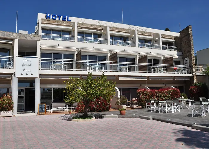 Hotel Le Grand Pavois Le Lavandou acceptant les animaux