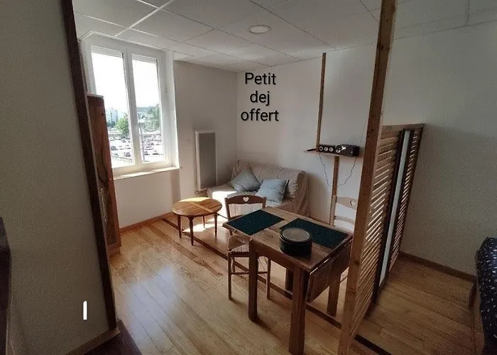 Appartement sympa entre canal et Loire Roanne