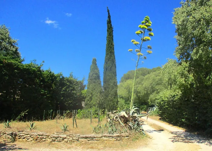 Appartement Les Olives à Uzès