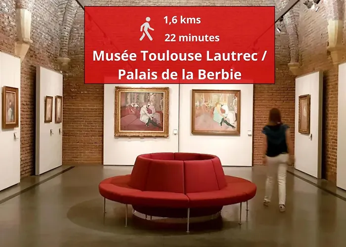 Le petit studieux - Parking - Animaux acceptés - Centre ville accessible à pied Albi