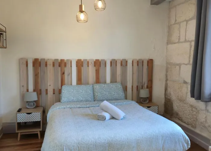 Boutique Le Vaillant, appartement T2, proche gare, hyper-centre et marais, 1 à 2 personnes, WIFI Bourges